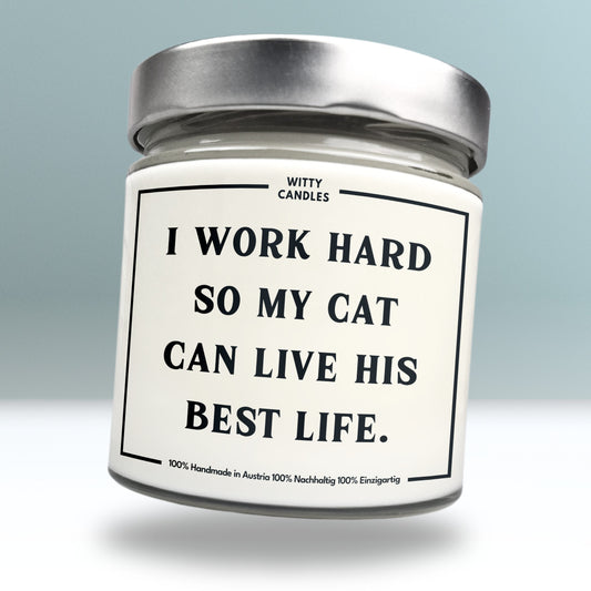 "I work hard so my cat can live his best life."