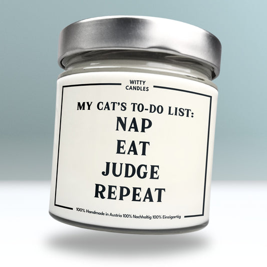 "My cat's to-do list: nap, eat, judge, repeat."