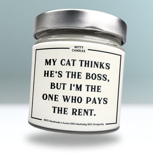 "My cat thinks he's the boss, but I'm the one who pays the rent."