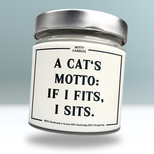 "A cat's motto: If i fits, i sits."