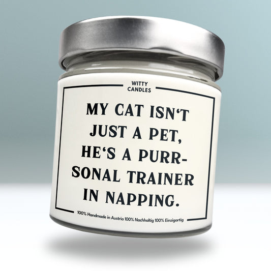 "My cat isn't just a pet, he's a purrsonal trainer in napping."